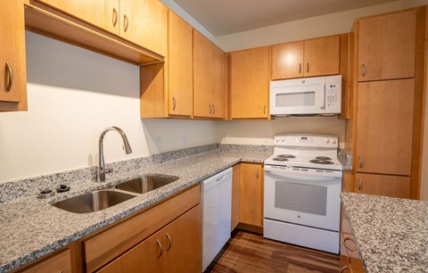 Dominium_Aviara Flats_26 - Vacant 1-2 BR Kitchen_Web(2)